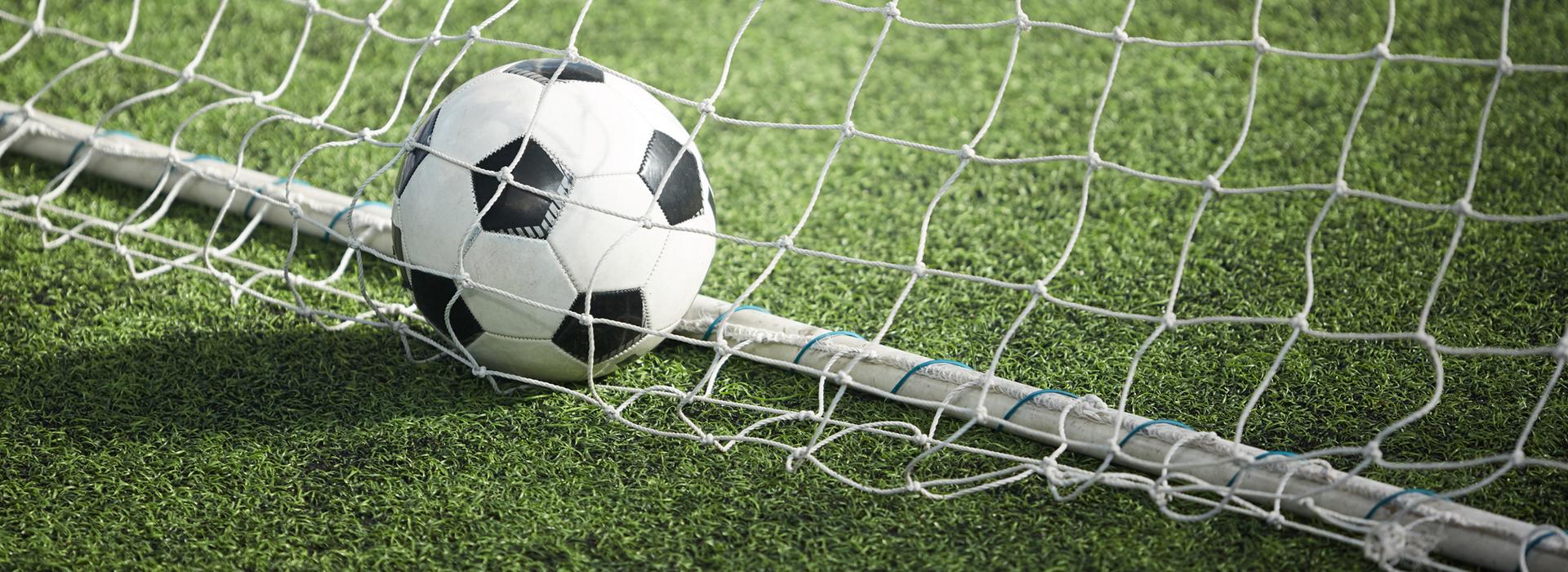 Soccer ball on grass and net